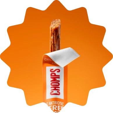 Chomps brand lifestyle